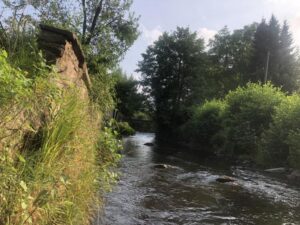 Mehr über den Artikel erfahren Ich schaff das nicht – Freiheit durch Loslassen eines Glaubenssatzes