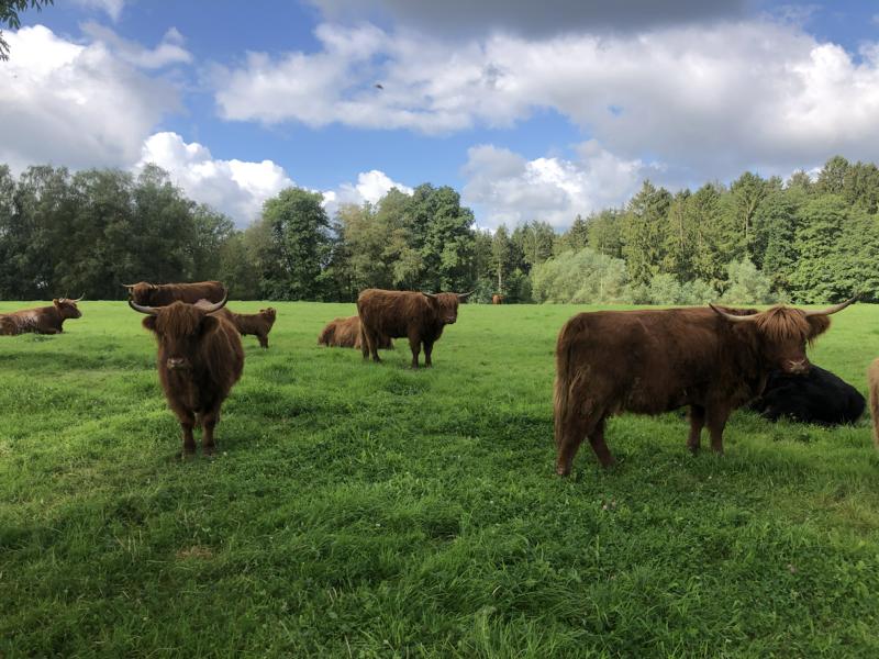Mehr über den Artikel erfahren Meine Vision von der Landwirtschaft der Zukunft
