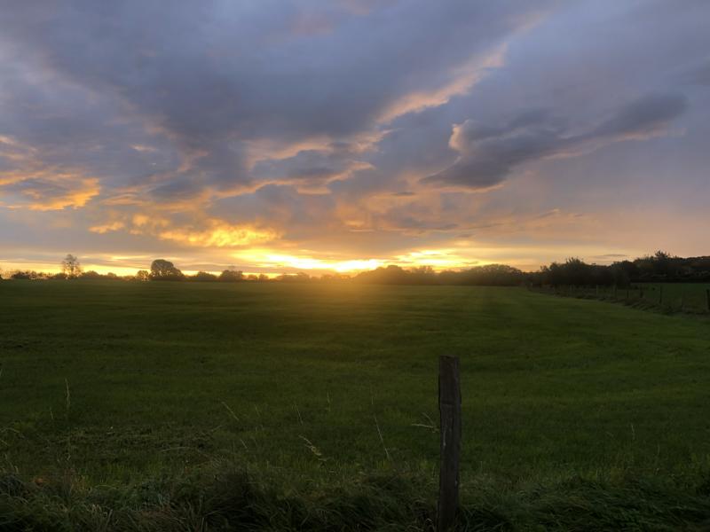 Sonnenaufgang über einer Wiese