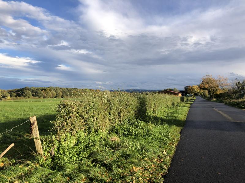 Wolkenspiel am Himmel über einer Landstraße