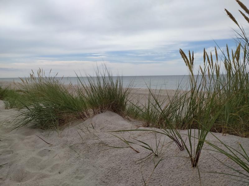 Blick aus den Dünen auf den Strand