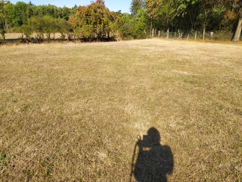 Blick über ein ausgedorrtes Feld mit Schatten der Fotografin