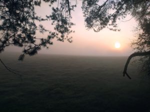 Mehr über den Artikel erfahren Selbstfürsorge gegen den Herbstblues