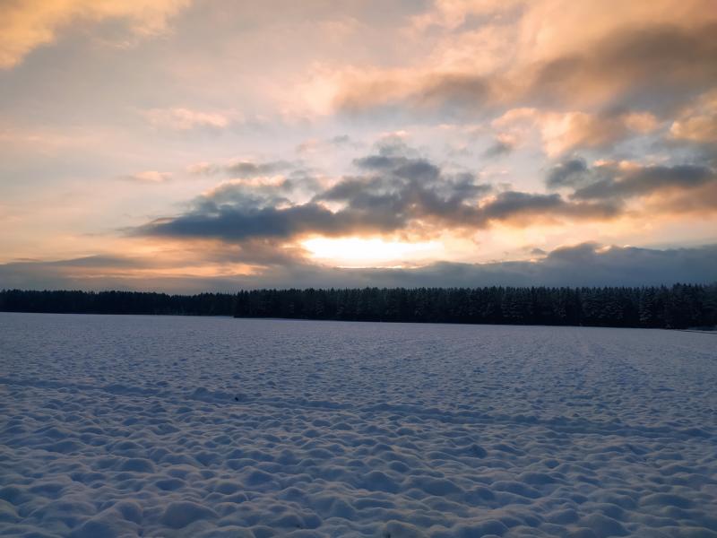 Sonnenaufgang über verschneitem Feld