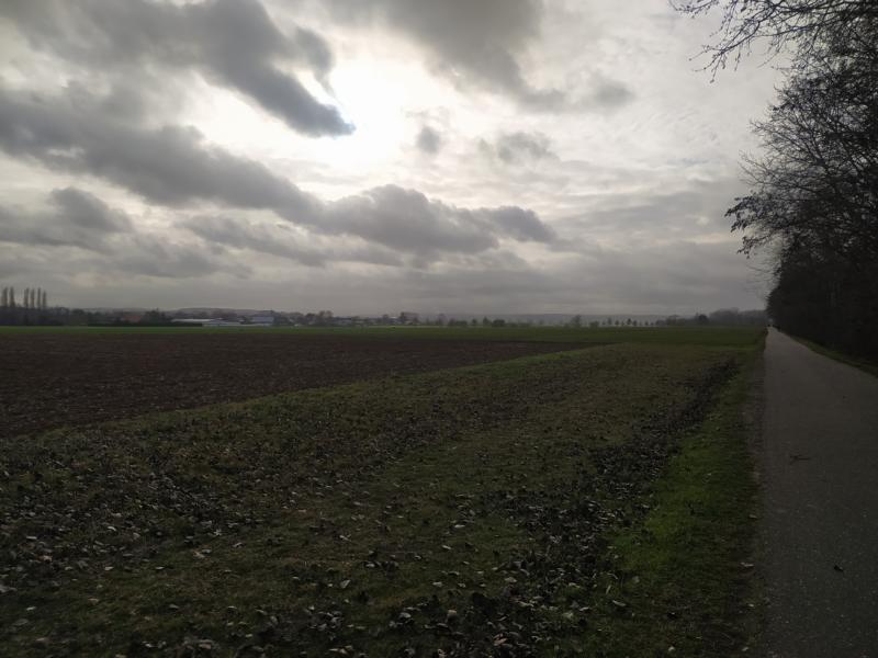 Wolkenhimmel über dem Feld
