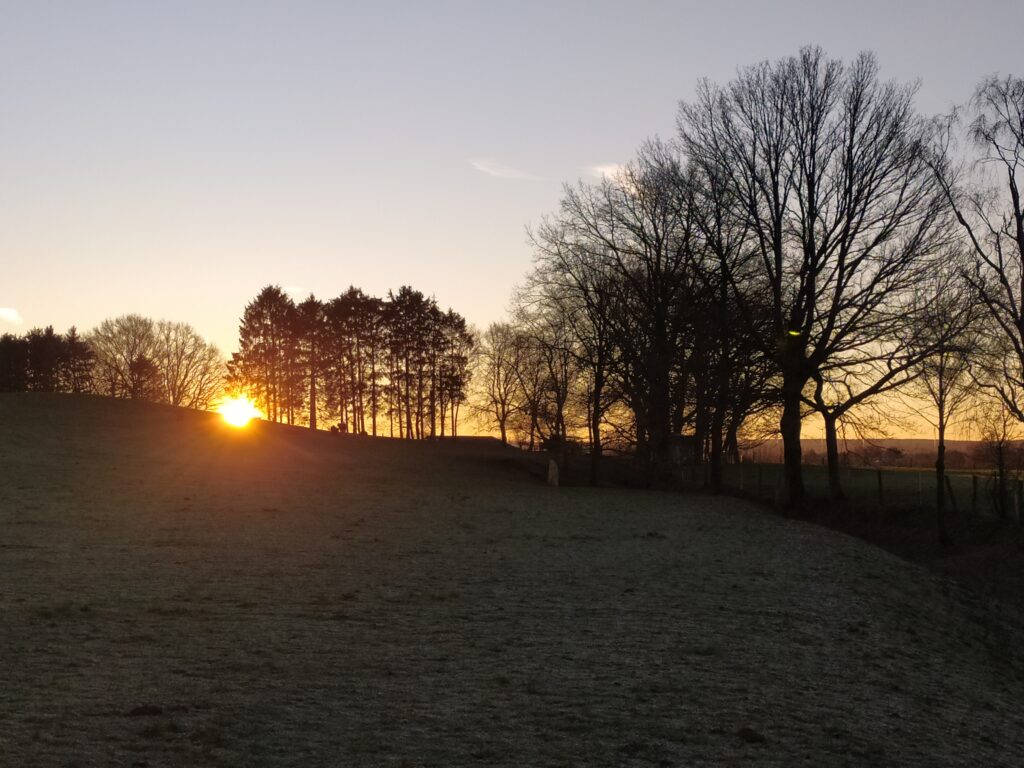 Sonnenaufgang hinter Bäumen