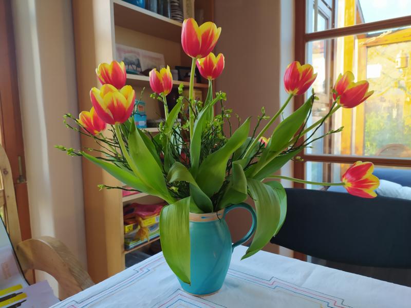 Rotgelber Tulpenstrauß in einer Vase
